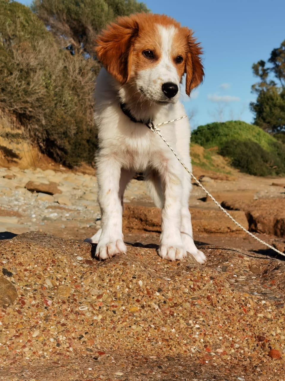 Fiona Fiona