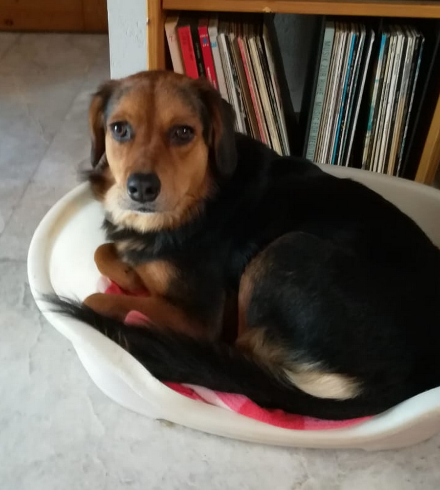 Bella Bella