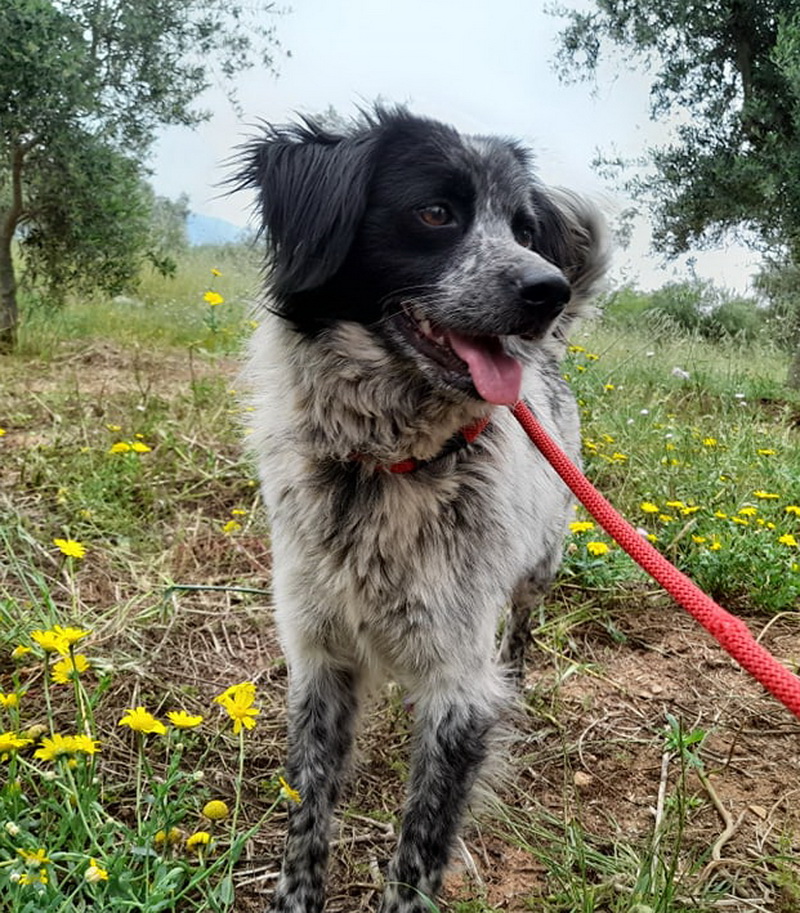 Emilio Emilio