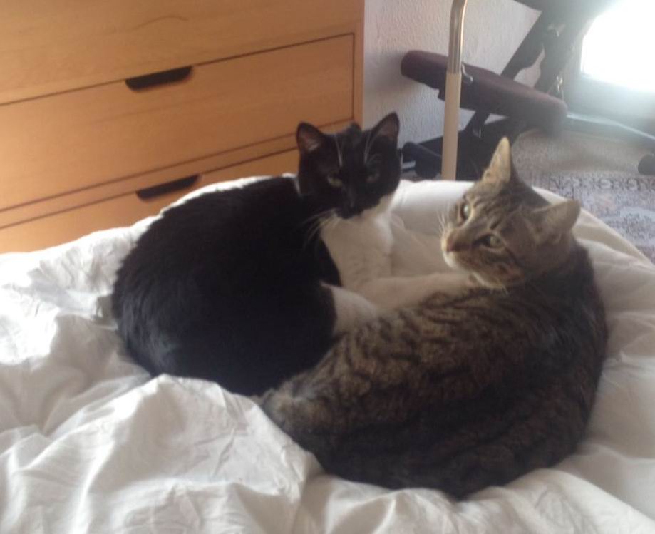 Kitty und Cherry Kitty und Cherry